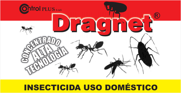 Dragnet