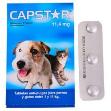 CAPSTAR 11