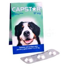 CAPSTAR 57