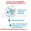 ROYAL CANIN MEDIUM PUPPY