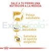 ROYAL CANIN WEST HIGHLAND TERRIER ADULTO2