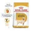 ROYAL CANIN LABRADOR ADULTO
