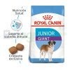 ROYAL CANIN GIANT JUNIOR