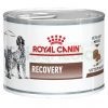 ROYAL CANIN RECOVERY LATA