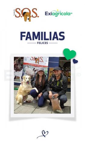 FAMILIAS FELICES 01