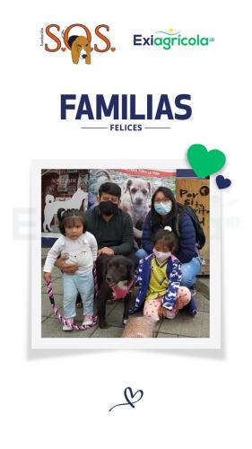FAMILIAS FELICES 05